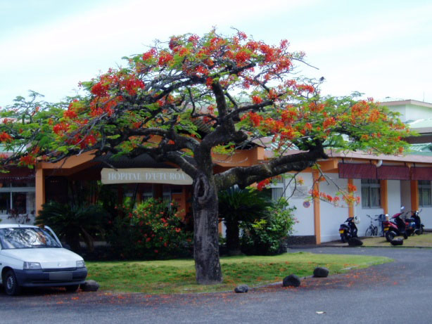 Hôpital de Uturoa : de nombreux travaux à venir dès cette année • TNTV  Tahiti Nui Télévision
