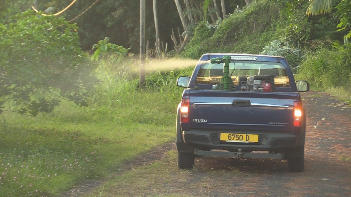 Opération de désinsectisation contre la dengue à Papeete: les produits utilisés respectent les recommandations de l’OMS