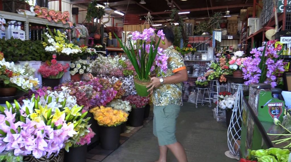 Le marché des fleurs artificielles à la Toussaint • TNTV Tahiti Nui  Télévision